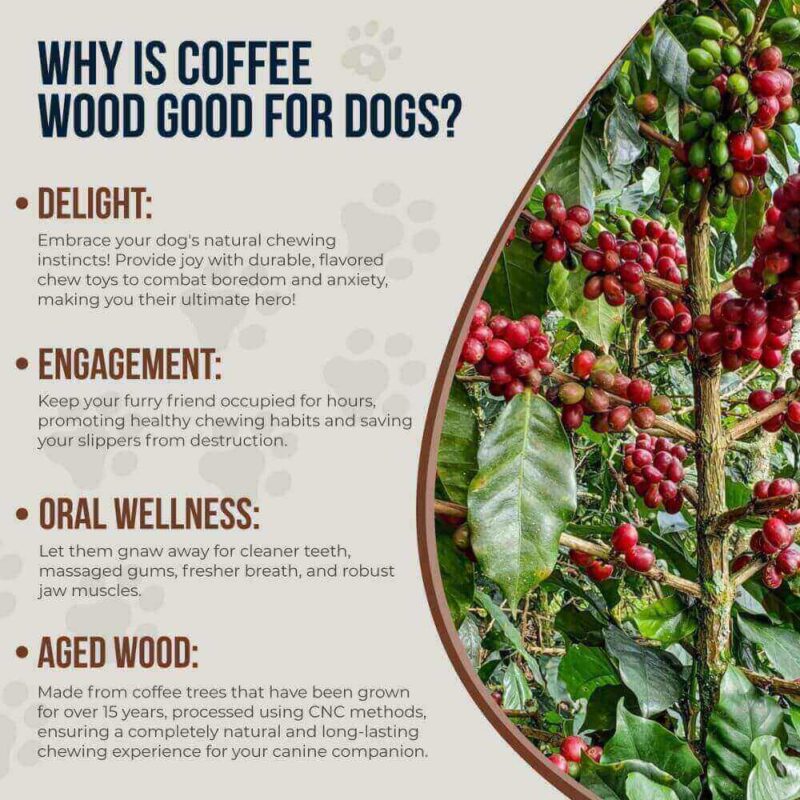 91G Coffee Wood Dog Chew – Eco-Friendly, Long Lasting & Safe for All Dogs 5 Sizes - Pack of 2 - Image 4