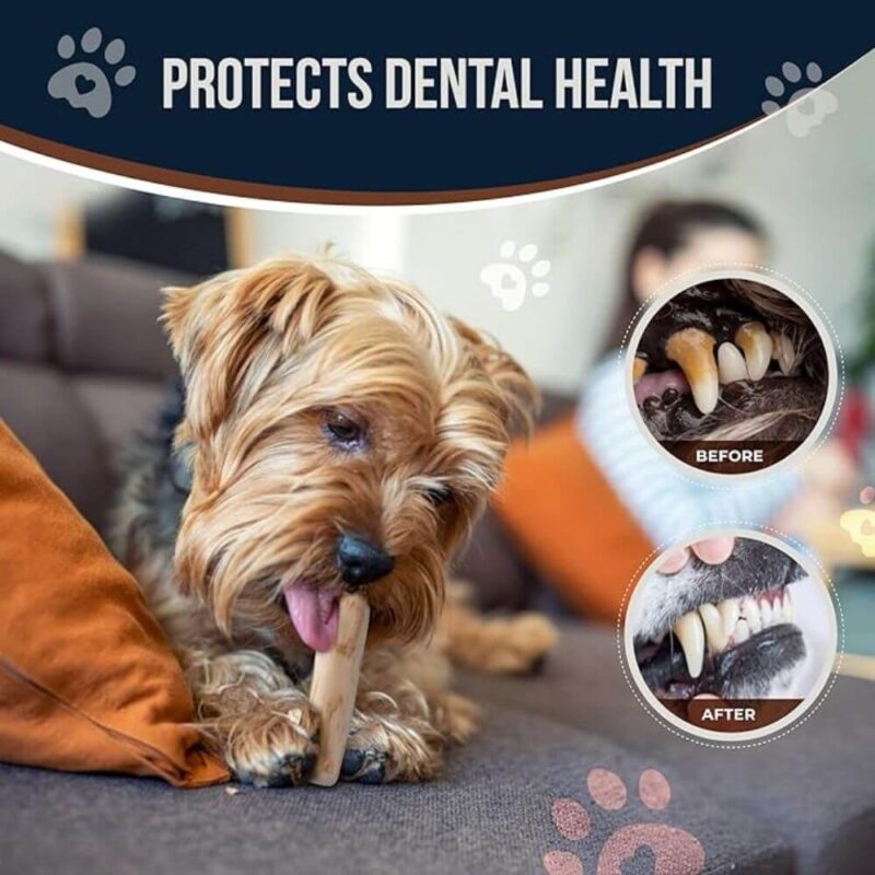 91G Coffee Wood Dog Chew – Eco-Friendly, Long Lasting & Safe for All Dogs 5 Sizes - Pack of 2 - Image 3