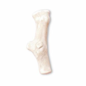 Coffee Wood Knots for Dogs - Natural Coffee Tree Wood - M Sizes