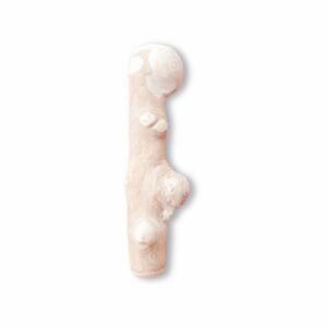 Coffee Wood Knots for Dogs - Natural Coffee Tree Wood - S Sizes